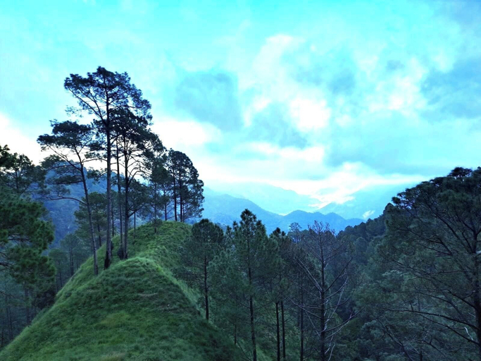 View from property, Gopi Homestay and Restaurant (Jim Corbett), Almora