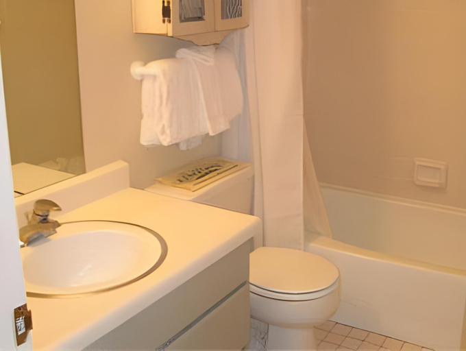 Bathroom 4, Park Regency Resort, Summit