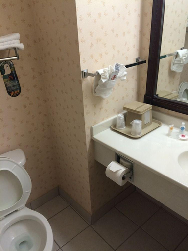 Bathroom 4, Comfort Inn & Suites, Custer