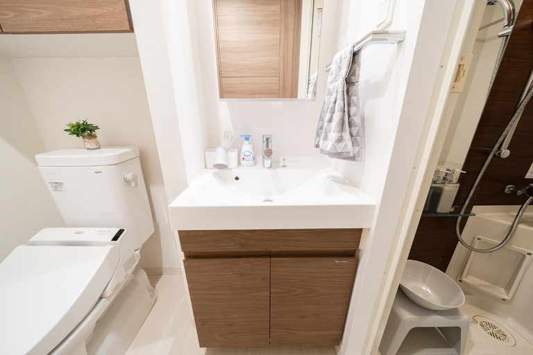 Bathroom 4, you-oshiage hotel, Sumida