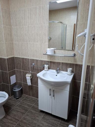 Bathroom 2, Fabrik Haus, Marghita