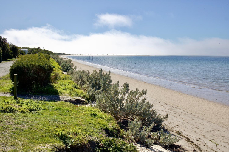 Others 5, BIG4 Wilsons Prom Holiday Park, South Gippsland - East