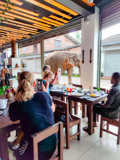 Food & Drinks 5, Elepath Lodge - Pinnawala, Rambukkana