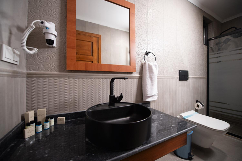 Bathroom 4, AHISKA PALAS OTEL, Merkez