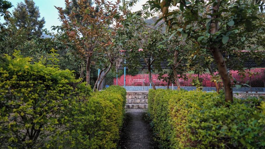 Garden, Rana Farm & Resort, Dehradun