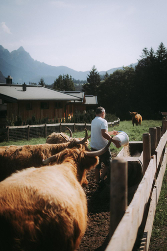 Exterior & Views 2, Grosslehen, Kitzbühel
