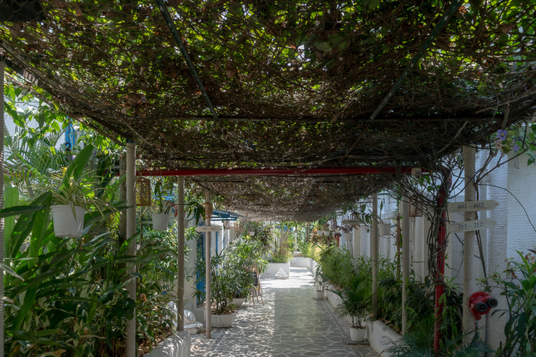Public Area 4, Soul Vacation Resort and Spa, South Goa