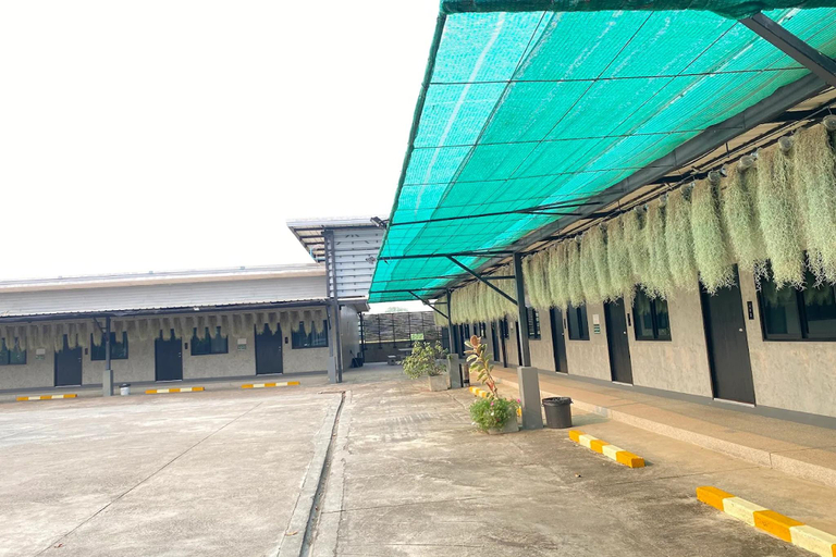 Exterior & Views 2, The Loft @Chiangrai, Muang Chiang Rai