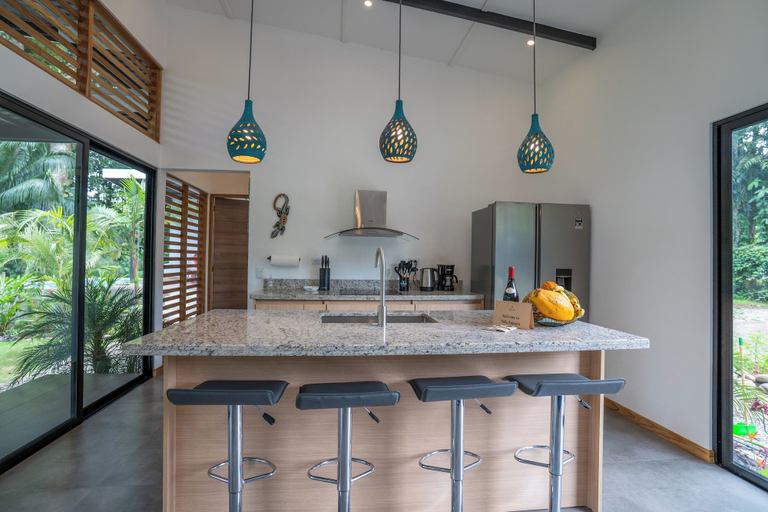 Private kitchen 5, Anusara Dream House, Talamanca