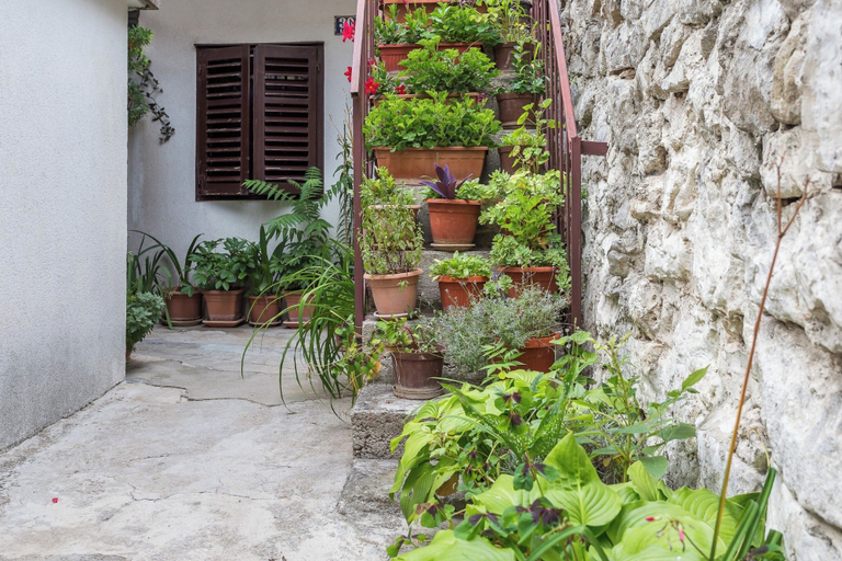 Others 3, Studio Varos in the heart of Split, Split