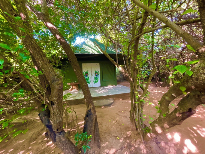 Primary image