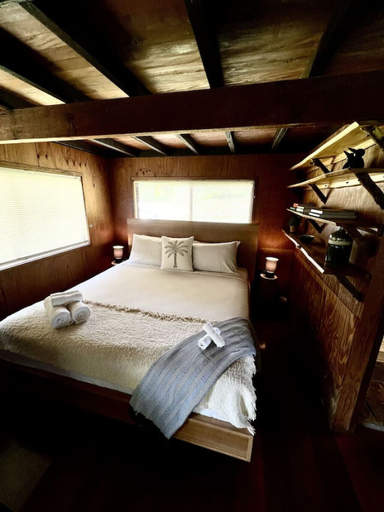 Room 4, Cascade Springs, Tweed - Pt B