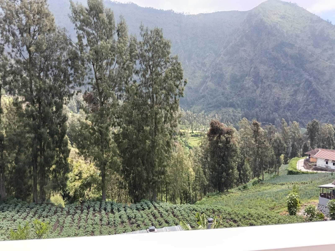 View from property 3, Pulmo Guesthouse Bromo, Probolinggo