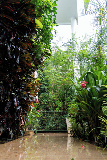 View from property 5, El Tesoro-II J3, North Goa