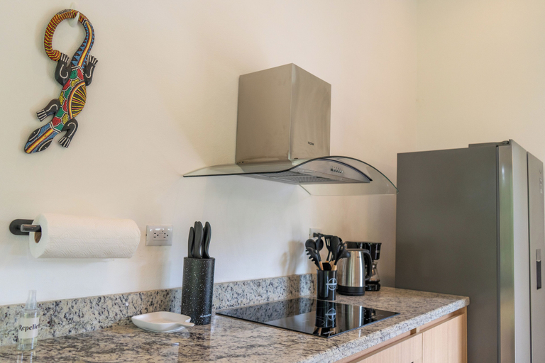 Private kitchen 4, Anusara Dream House, Talamanca