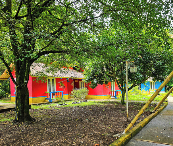 Primary image
