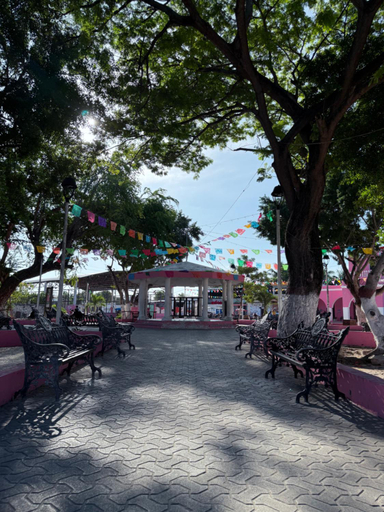 Food & Drinks, Hotel Manglares Celestun, Celestún