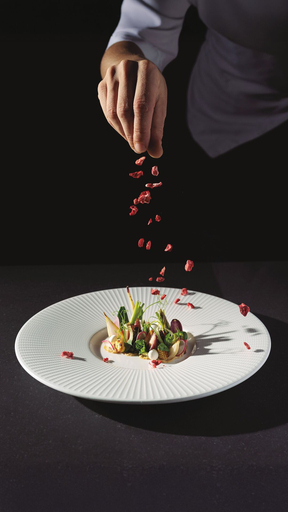 Food and drink, SHA Spain, Alicante
