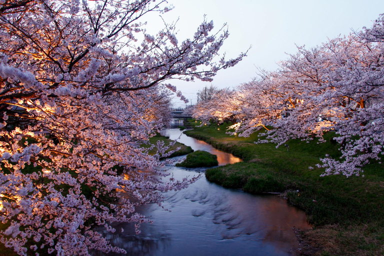 Others 3, Hoshino Resorts Kai Izumo, Matsue