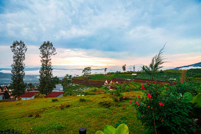Others 4, Khanzana Cabin and Camp, Wonosobo
