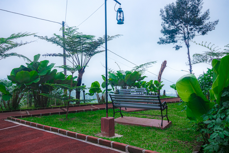 Others 3, Khanzana Cabin and Camp, Wonosobo