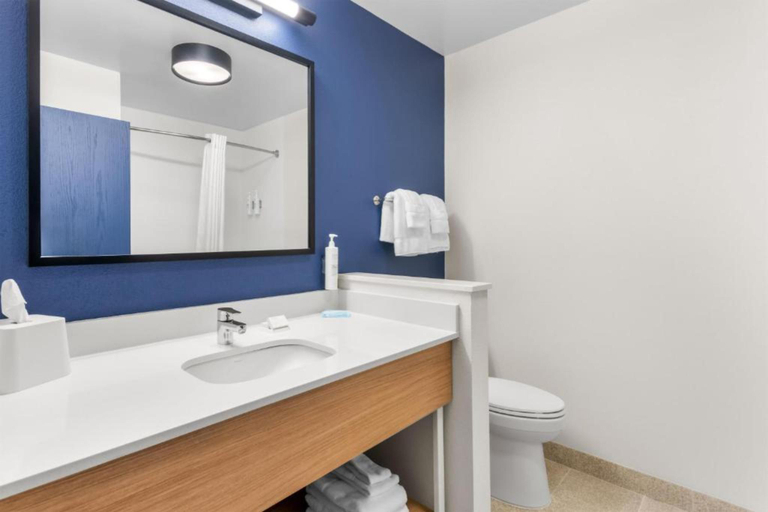 Bathroom, Spark by Hilton Dothan, Houston