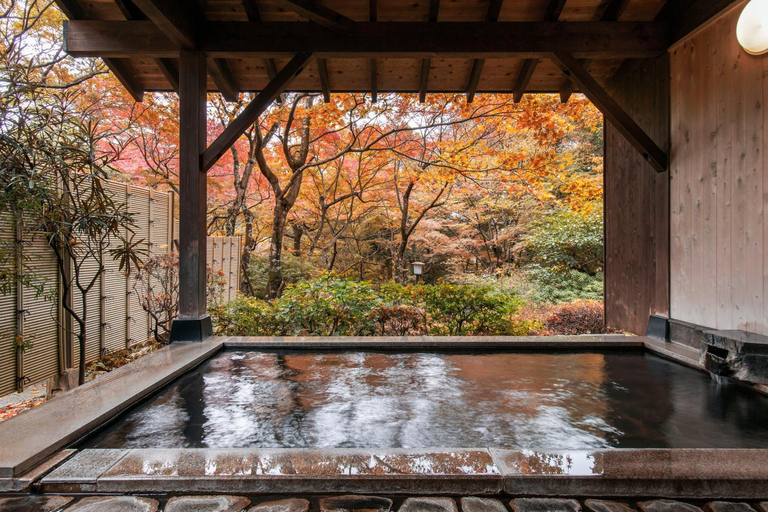 Sport & Beauty 2, Gora Kansuiro, Hakone