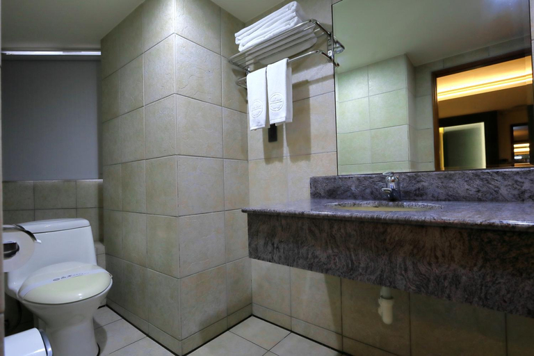 Others 5, Han She Business Hotel, Taipei City