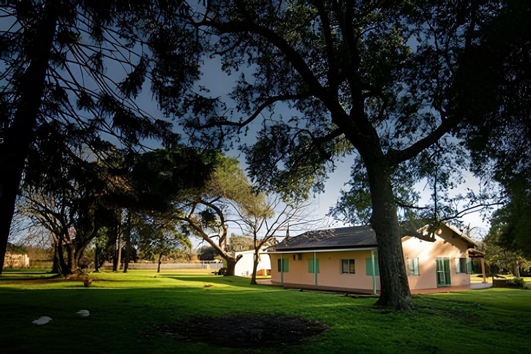 Primary image