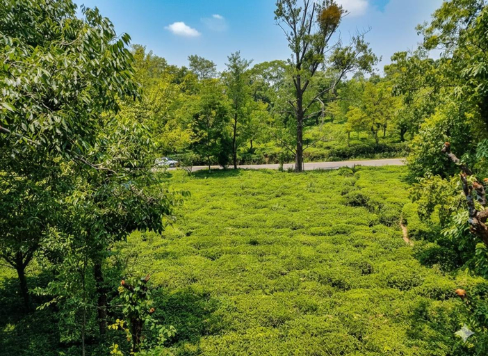 Others 5, Spring Inn Bir-Billing, Kangra
