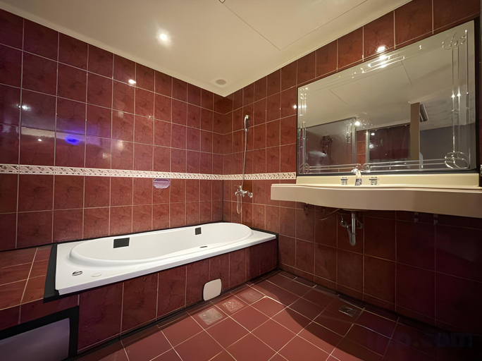 Bathroom 3, King & Princess Motel II, Tainan