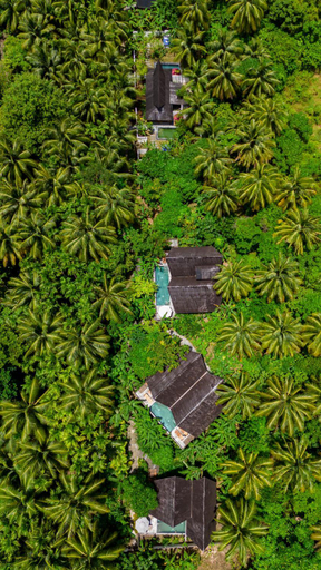 Exterior & Views 1, Satya Boutique Resort & Spa, South Andaman
