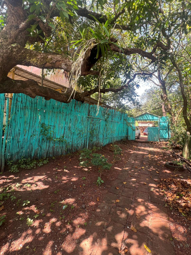 Others 5, The Peace Hostel, North Goa