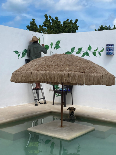 Property grounds 2, Casa Loto D, Progreso