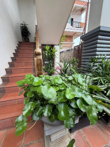 Others 5, Sunset View Guest House, Siem Reap