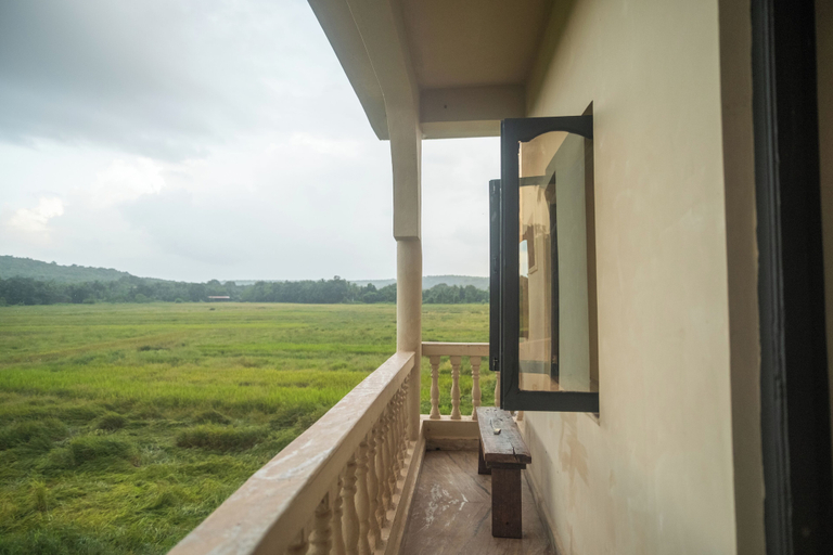 Others 5, Palmorama, North Goa