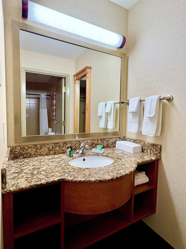Bathroom 4, Waterloo Suites Hotel, Trademark Collection by Wyndham, Waterloo