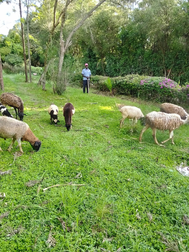 Exterior 5, Great Circle Camping and Game Drives, Kieni