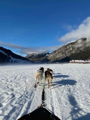 Sledding, Le Cairne Residence, Haute-Savoie