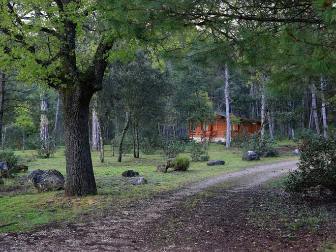 Others 5, Cabañas Llano de los Conejos, Cuenca
