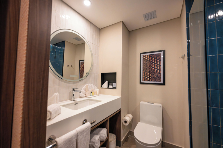 Bathroom 4, Hotel Hampton by Hilton Santiago de los Caballeros, Santiago de los Caballeros