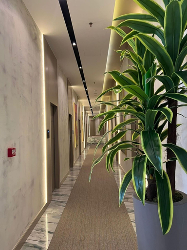 Primary image, White Hill Hotel Spa & Conference, Durrësit