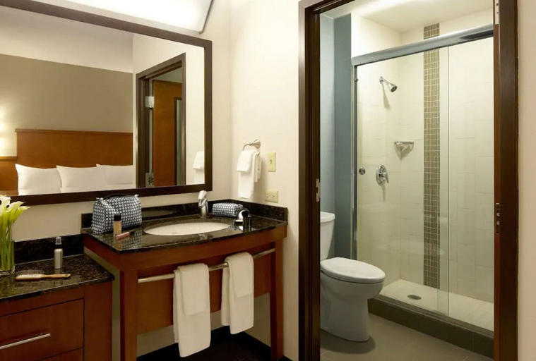 Bathroom 4, Hyatt Place Atlanta/Buckhead, Atlanta