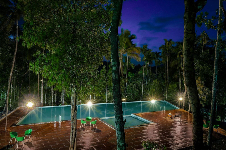 Pool, Kings Flora Luxury Organic FarmResort, Wayanad