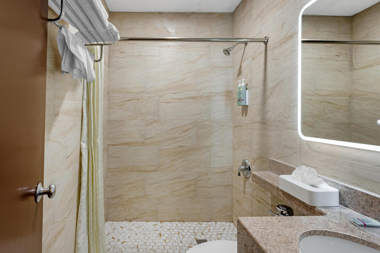 Bathroom 4, Best Western Jamaica Inn, New York