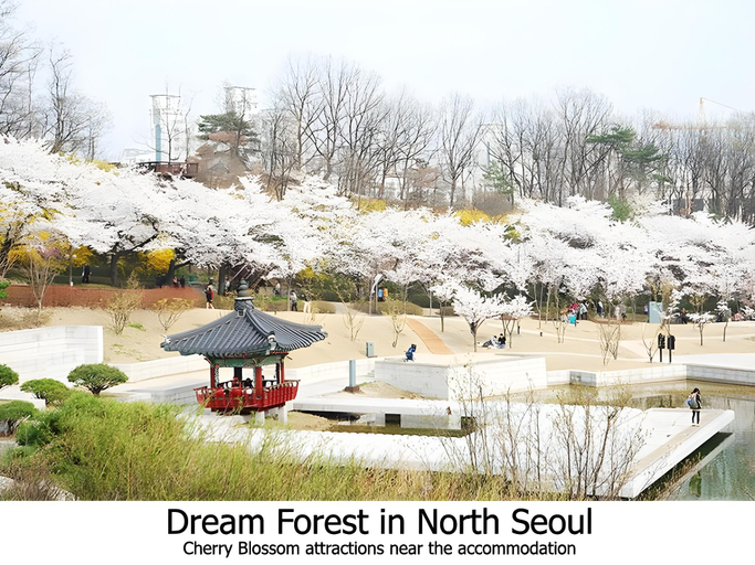 Others 5, Stay in North Seoul, Seongbuk