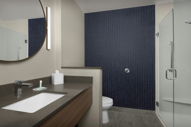 Bathroom 3, Fairfield By Marriott Inn & Suites Weldon, Halifax
