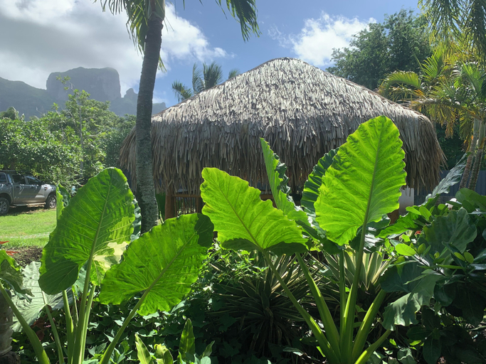 Others 5, Tiki Ora Lodge - TIKI, Bora Bora