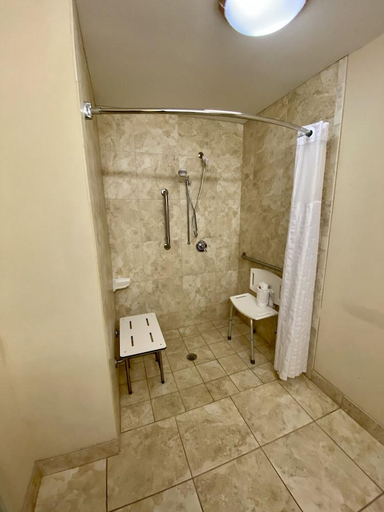 Bathroom 4, Comfort Inn and Suites Tifton, Tift