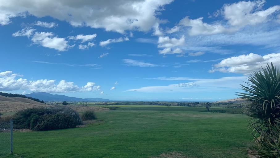 Surrounding environment 5, Brancott Ridge, Marlborough